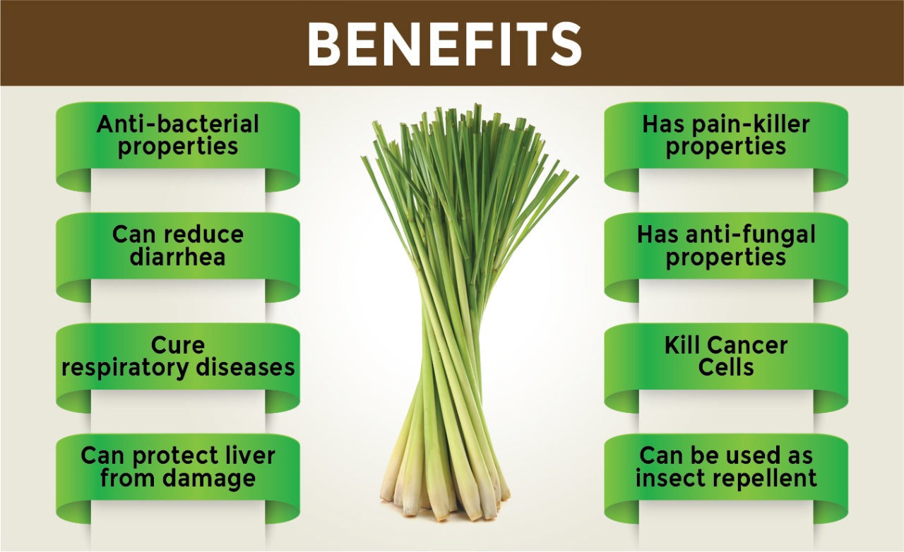 Lemongrass Leaves for Herbal/Green Tea-100gms - Mashkoor.pk